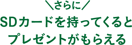 �����SD�J�[�h�������Ă���ƃv���[���g�����炦��