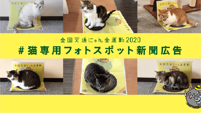 2020年度